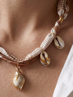 Sandy Shell
